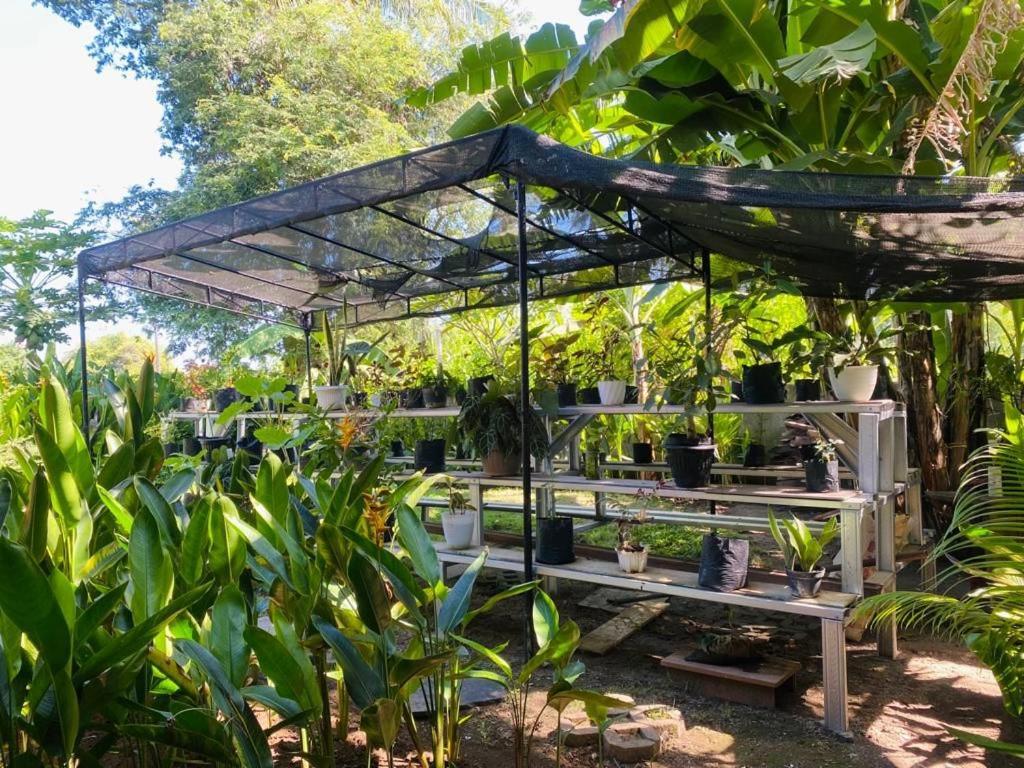 Al-Shifa Healing House Lombok Hotel Gili Air Ngoại thất bức ảnh