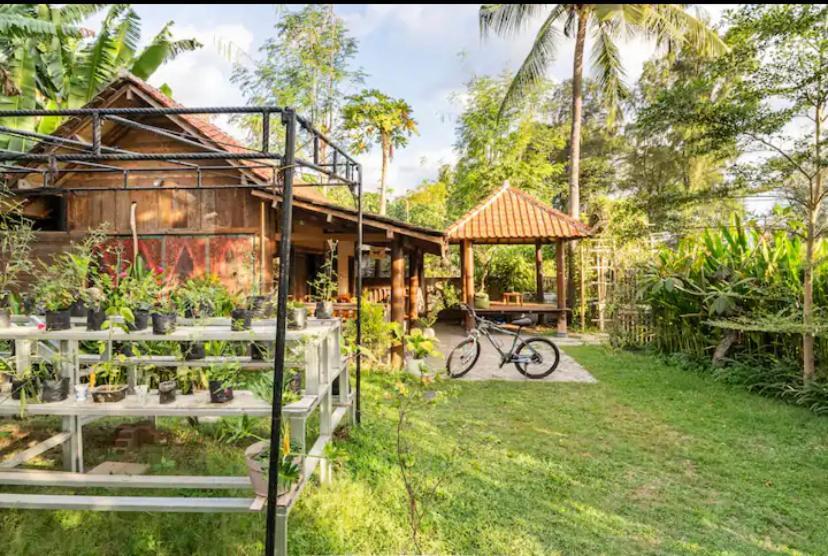 Al-Shifa Healing House Lombok Hotel Gili Air Ngoại thất bức ảnh